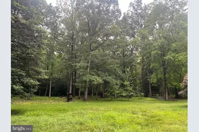 13220 Blackwood Forest Drive, Goldvein, VA 22720 - Photo 51