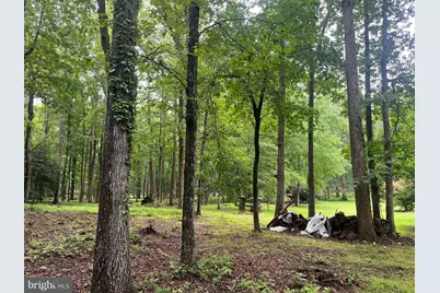 13220 Blackwood Forest Drive, Goldvein, VA 22720 - Photo 55