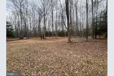 13220 Blackwood Forest Drive, Goldvein, VA 22720 - Photo 9