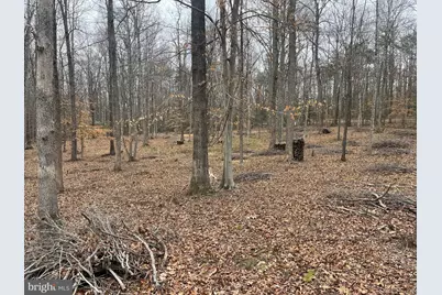 13220 Blackwood Forest Drive, Goldvein, VA 22720 - Photo 13