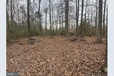 13220 Blackwood Forest Drive, Goldvein, VA 22720 - Photo 15