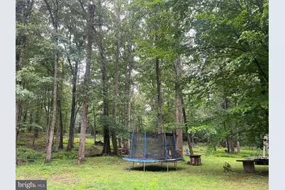 13220 Blackwood Forest Drive, Goldvein, VA 22720 - Photo 49