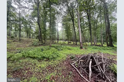 13220 Blackwood Forest Drive, Goldvein, VA 22720 - Photo 47
