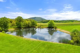 4392 Carrington Rd, Markham, VA 22643 - Photo 41