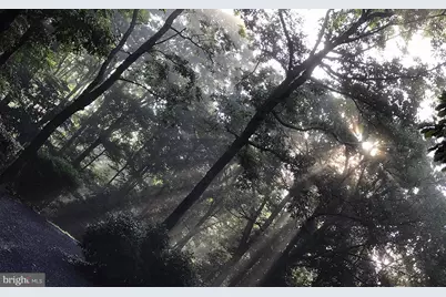 4562 Quail Run Drive, Marshall, VA 20115 - Photo 19