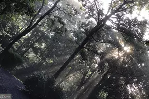 4562 Quail Run Dr, Marshall, VA 20115 - Photo 19