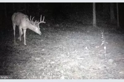 4562 Quail Run Drive, Marshall, VA 20115 - Photo 31