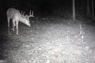 4562 Quail Run Dr, Marshall, VA 20115 - Photo 31