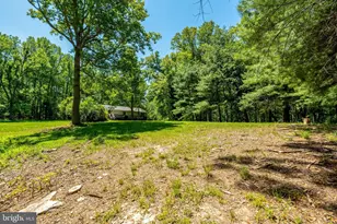 4645 Morgans Bluff Dr, Marshall, VA 20115 - Photo 45