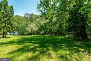 4645 Morgans Bluff Dr, Marshall, VA 20115 - Photo 47