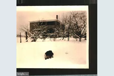 4048 Rectortown Road, Marshall, VA 20115 - Photo 37