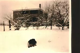 4048 Rectortown Rd, Marshall, VA 20115 - Photo 37