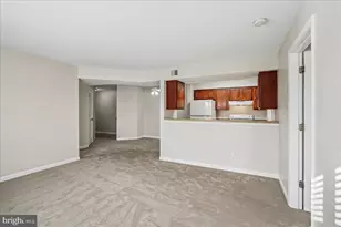 11260 Torrie Way, Bealeton, VA 22712 - Photo 11