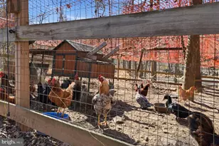 5276 Free State Rd, Marshall, VA 20115 - Photo 47