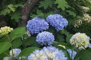 5556 Merry Oaks Rd, The Plains, VA 20198 - Photo 9