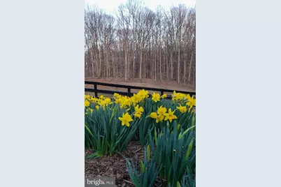 5556 Merry Oaks Road, The Plains, VA 20198 - Photo 11