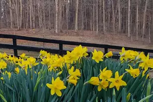 5556 Merry Oaks Rd, The Plains, VA 20198 - Photo 11