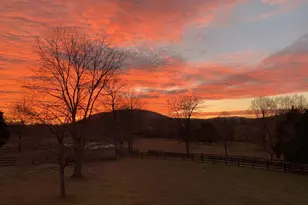 9491 Walsingham Ln, Marshall, VA 20115 - Photo 83