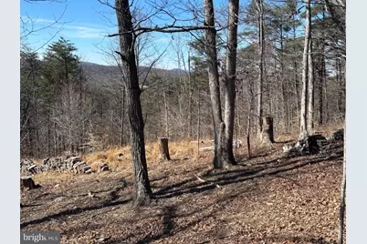 Carters Run, Marshall, VA 20115 - Photo 3