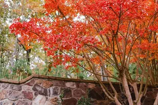 4752 Greene Love Ln, Marshall, VA 20115 - Photo 83