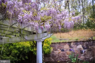 4752 Greene Love Ln, Marshall, VA 20115 - Photo 79