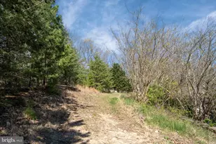 4752 Greene Love Ln, Marshall, VA 20115 - Photo 95