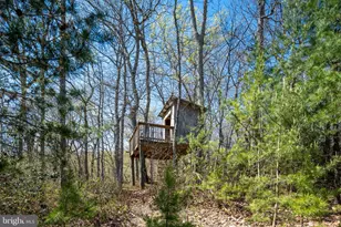 4752 Greene Love Ln, Marshall, VA 20115 - Photo 91