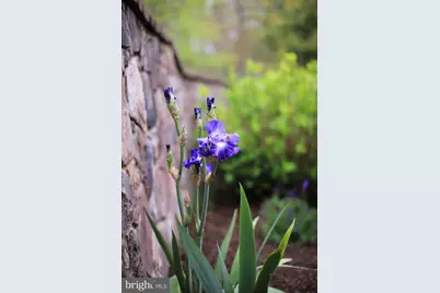 4752 Greene Love Lane, Marshall, VA 20115 - Photo 53