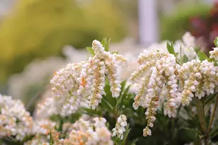 4752 Greene Love Ln, Marshall, VA 20115 - Photo 57