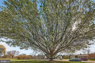 11698 Fort Union Dr, Remington, VA 22734 - Photo 37