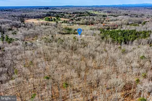 3220 Courtney School Rd, Midland, VA 22728 - Photo 95