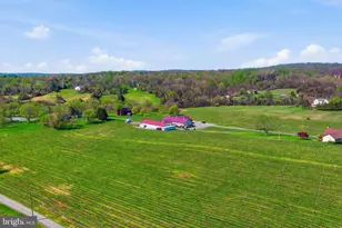 6163 Georgetown Rd, Broad Run, VA 20137 - Photo 77