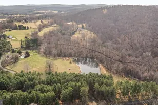 10803 Crest Hill Rd, Marshall, VA 20115 - Photo 29