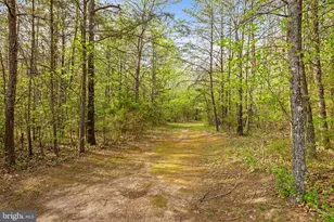 10287 Trylec Ln, Catlett, VA 20119 - Photo 99