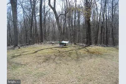 10504 Warland Road, Marshall, VA 20115 - Photo 37