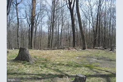 10504 Warland Road, Marshall, VA 20115 - Photo 41