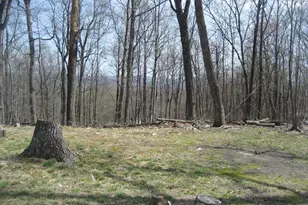 10504 Warland Rd, Marshall, VA 20115 - Photo 41