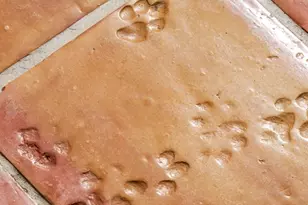 4094 Whiting Rd, Marshall, VA 20115 - Photo 69