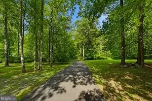 3665 Creels Ln, The Plains, VA 20198 - Photo 97
