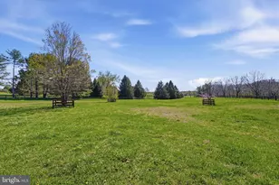 2517 5 Points Rd, Marshall, VA 20115 - Photo 119