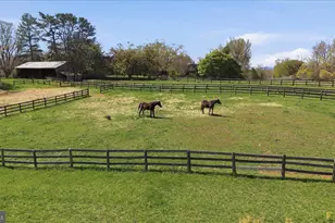 2517 5 Points Rd, Marshall, VA 20115 - Photo 131