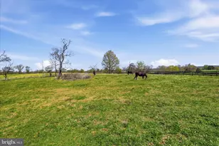 2517 5 Points Rd, Marshall, VA 20115 - Photo 113