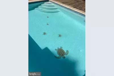 7747 Riverside Farm Road, Marshall, VA 20115 - Photo 37