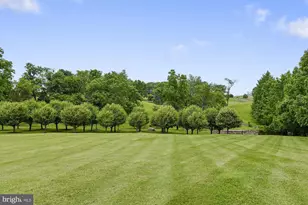 2547 Halfway Rd, The Plains, VA 20198 - Photo 83