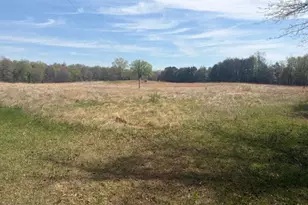 9547 James Madison Hwy, Warrenton, VA 20187 - Photo 25