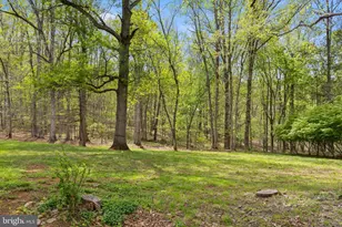 8358 Botha Rd, Warrenton, VA 20186 - Photo 31
