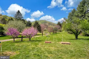 3195 Fiery Run Rd, Linden, VA 22642 - Photo 95