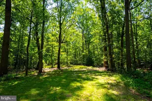 12350 Roselawn Ln, Midland, VA 22728 - Photo 37