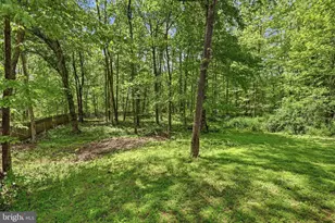 4357 Magnolia Ln, Catlett, VA 20119 - Photo 35