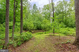 4281 Bear Bug Ln, Bealeton, VA 22712 - Photo 47